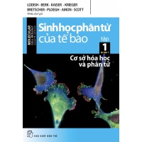 Sinh Học Phân Tử Của Tế Bào 01 - Cơ Sở Hoá Học Và Phân Tử