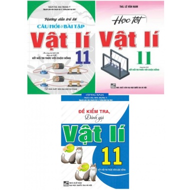 Combo Hướng Dẫn Trả Lời Câu Hỏi Và Bài Tập + Đề Kiểm Tra, Đánh Giá Vật Lí Lớp 11 (Bám Sát SGK Kết Nối Tri Thức Với Cuộc Sống)