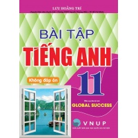 Bài Tập Tiếng Anh Lớp 11 Không Đáp Án (Bộ Sách Kết Nối Tri Thức)